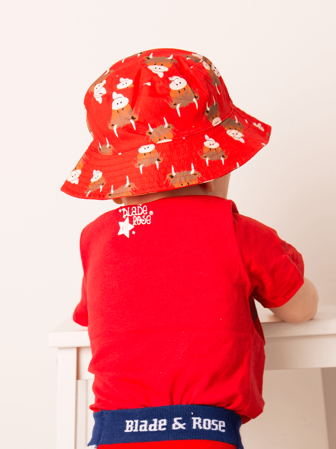 Hamish Highland Cow Summer Hat - Blade & Rose UK