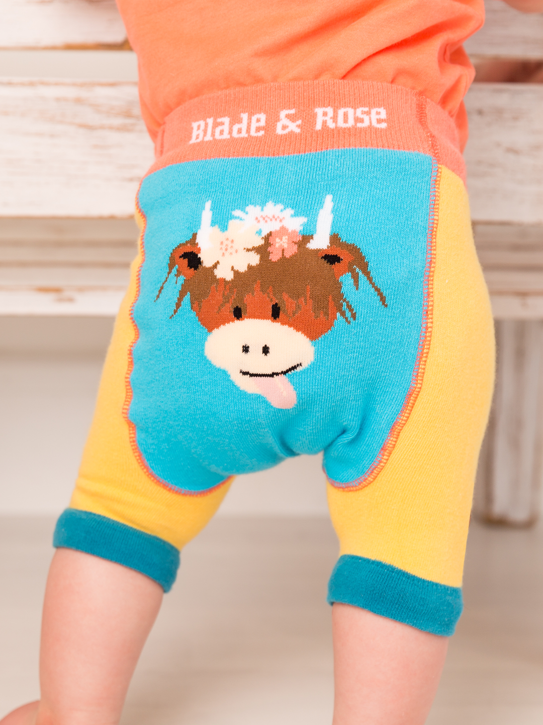 Bonnie Highland Cow Summer Outfit (2PC) - Blade & Rose UK