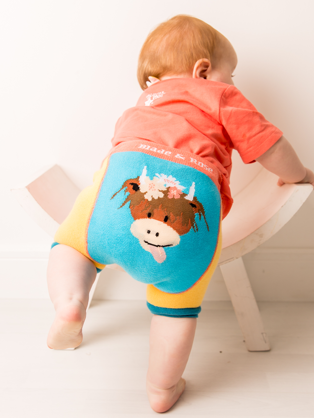 Bonnie Highland Cow Summer Outfit (2PC) - Blade & Rose UK