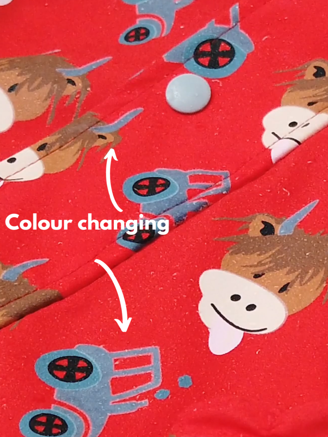 Highland Cow Colour Changing Raincoat Blade & Rose