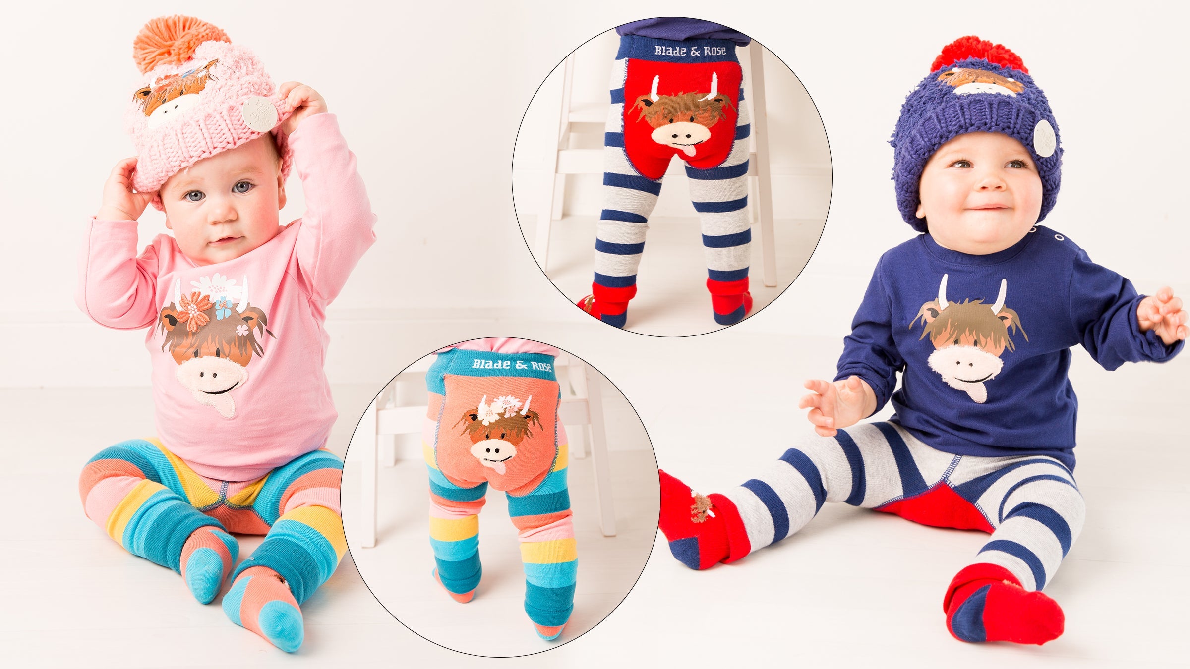 Highland Cow Collections