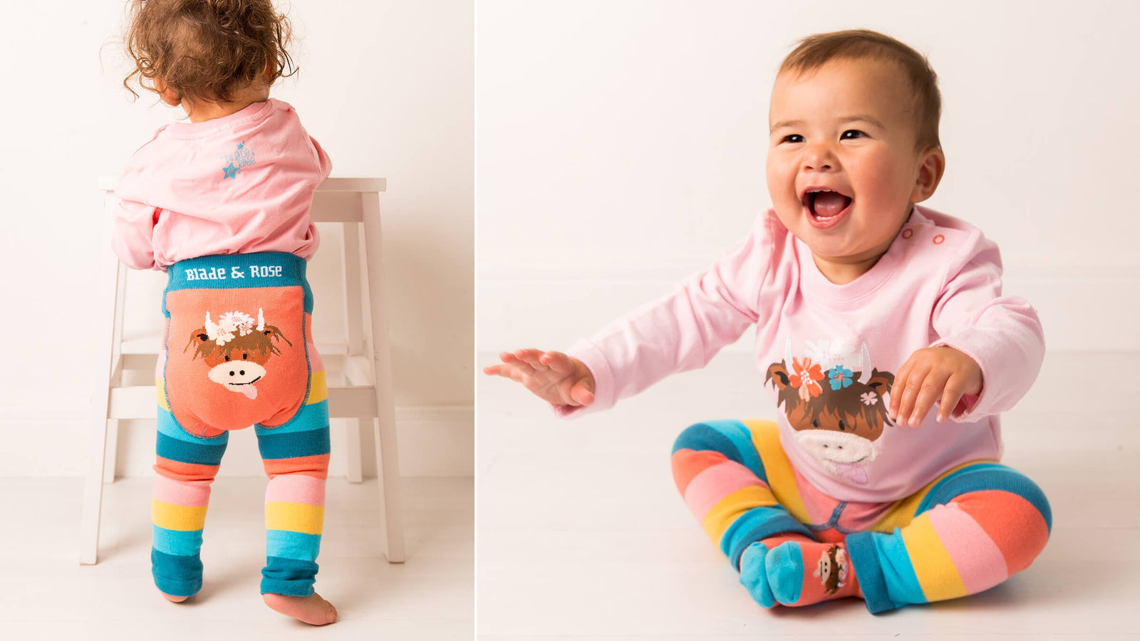 Bonnie Highland Cow Blade & Rose UK