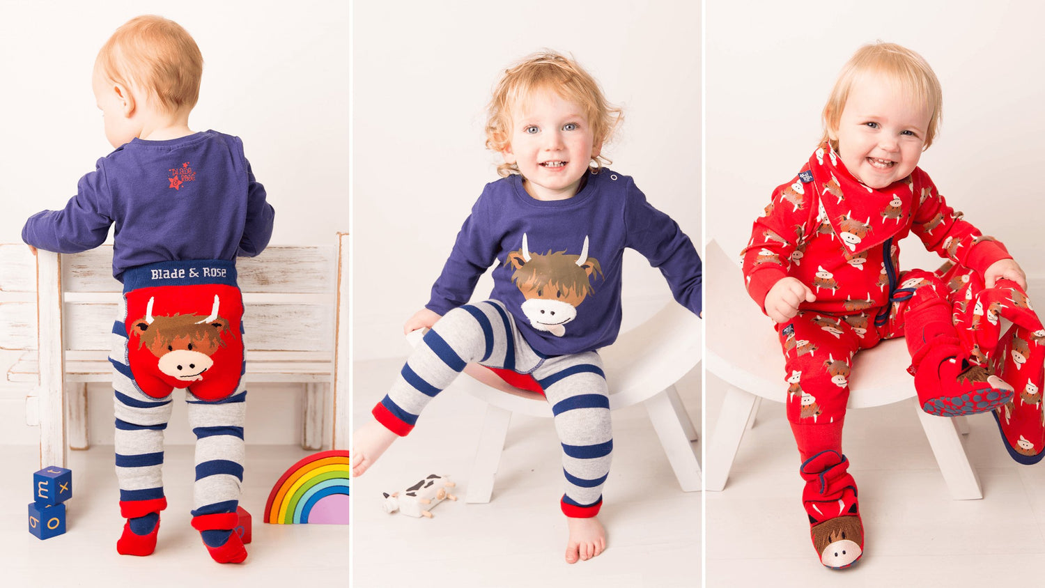 Highland Cow Blade & Rose UK