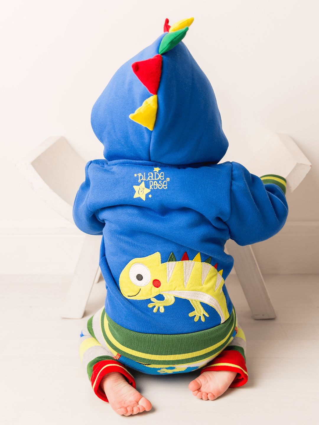 Chameleon Hoodie * - Blade & Rose UK