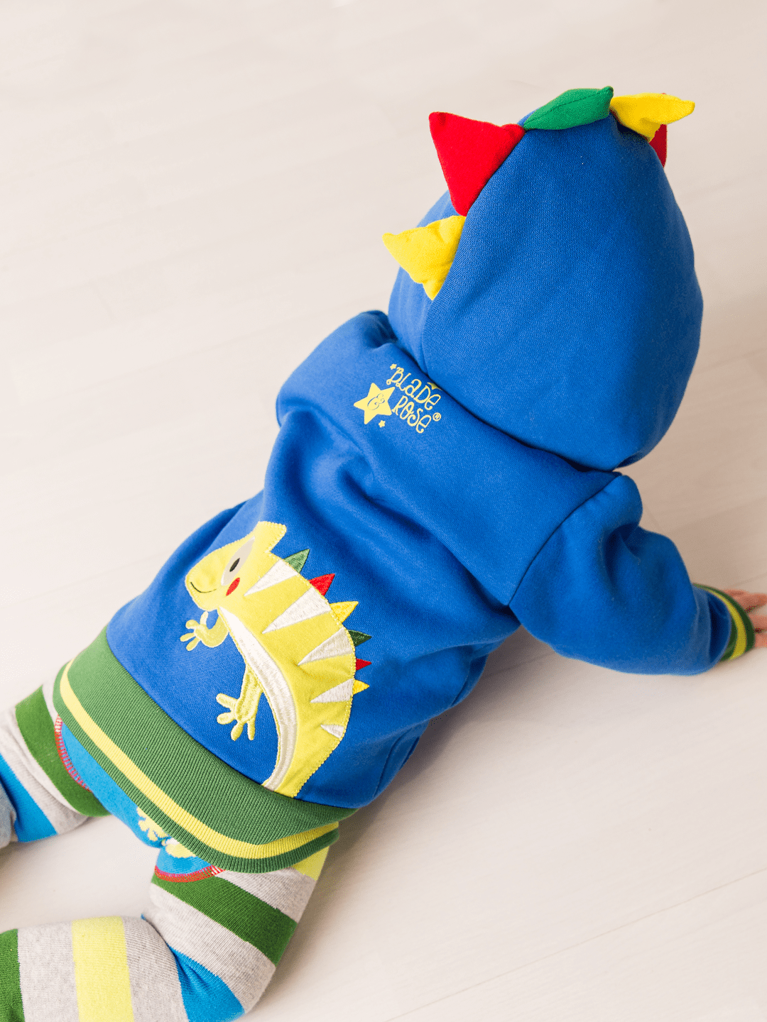 Chameleon Hoodie * - Blade & Rose UK