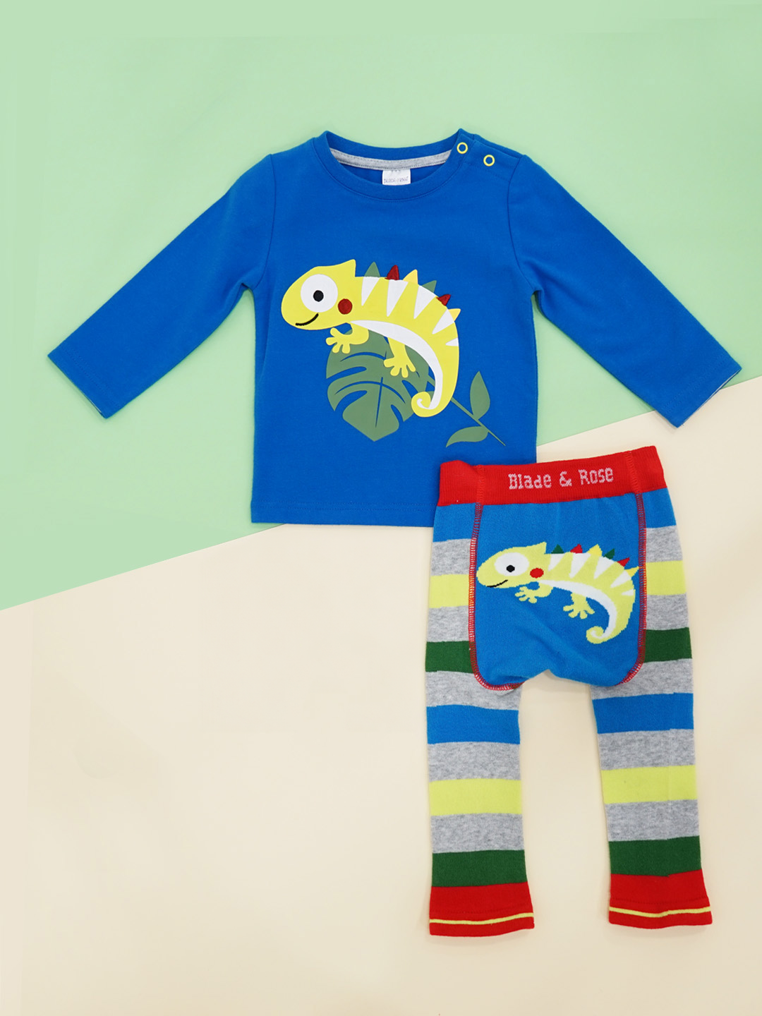 Chameleon Outfit (2PC)
