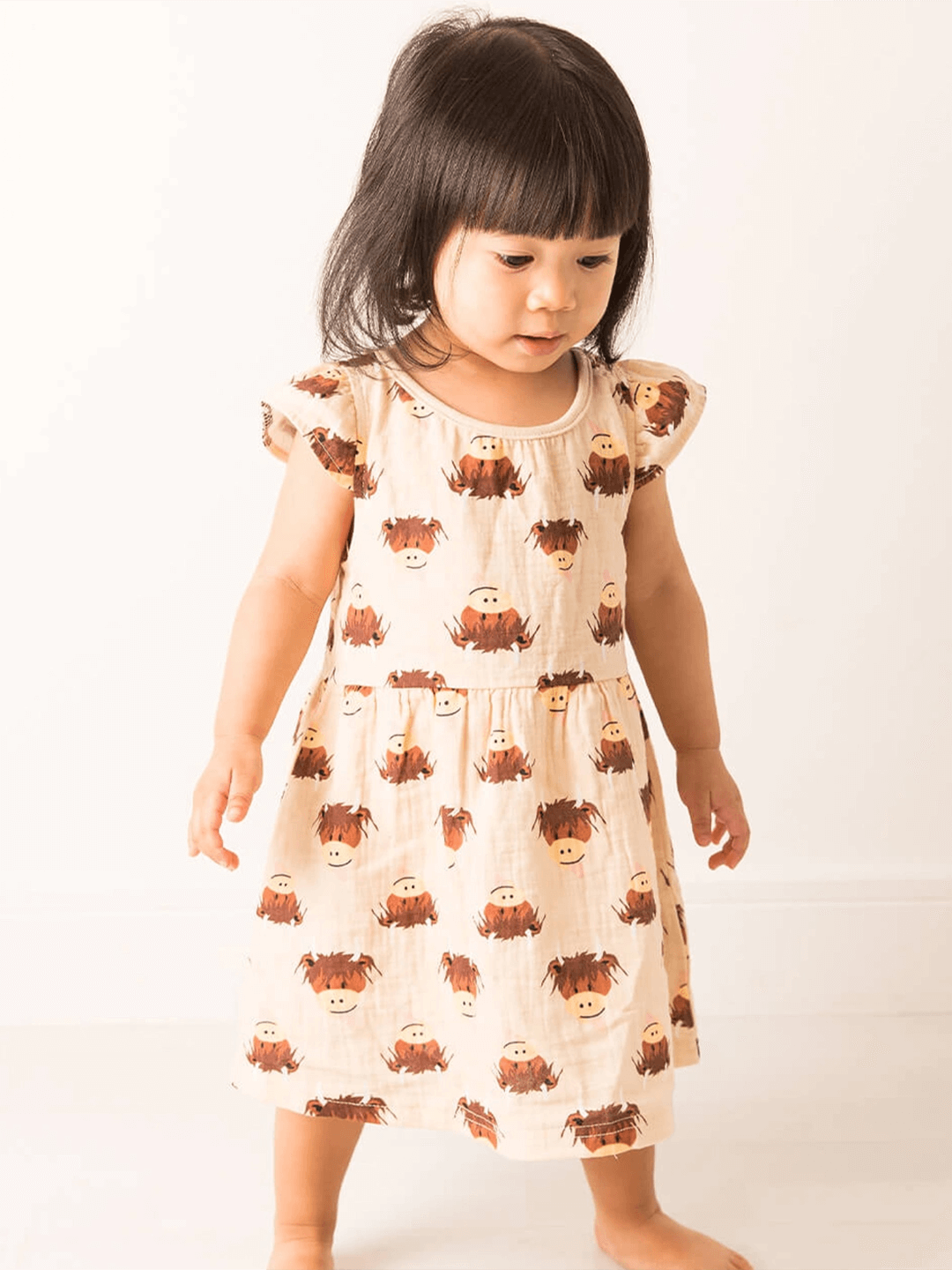 Neutral Highland Cow Summer Dress Gifting Set