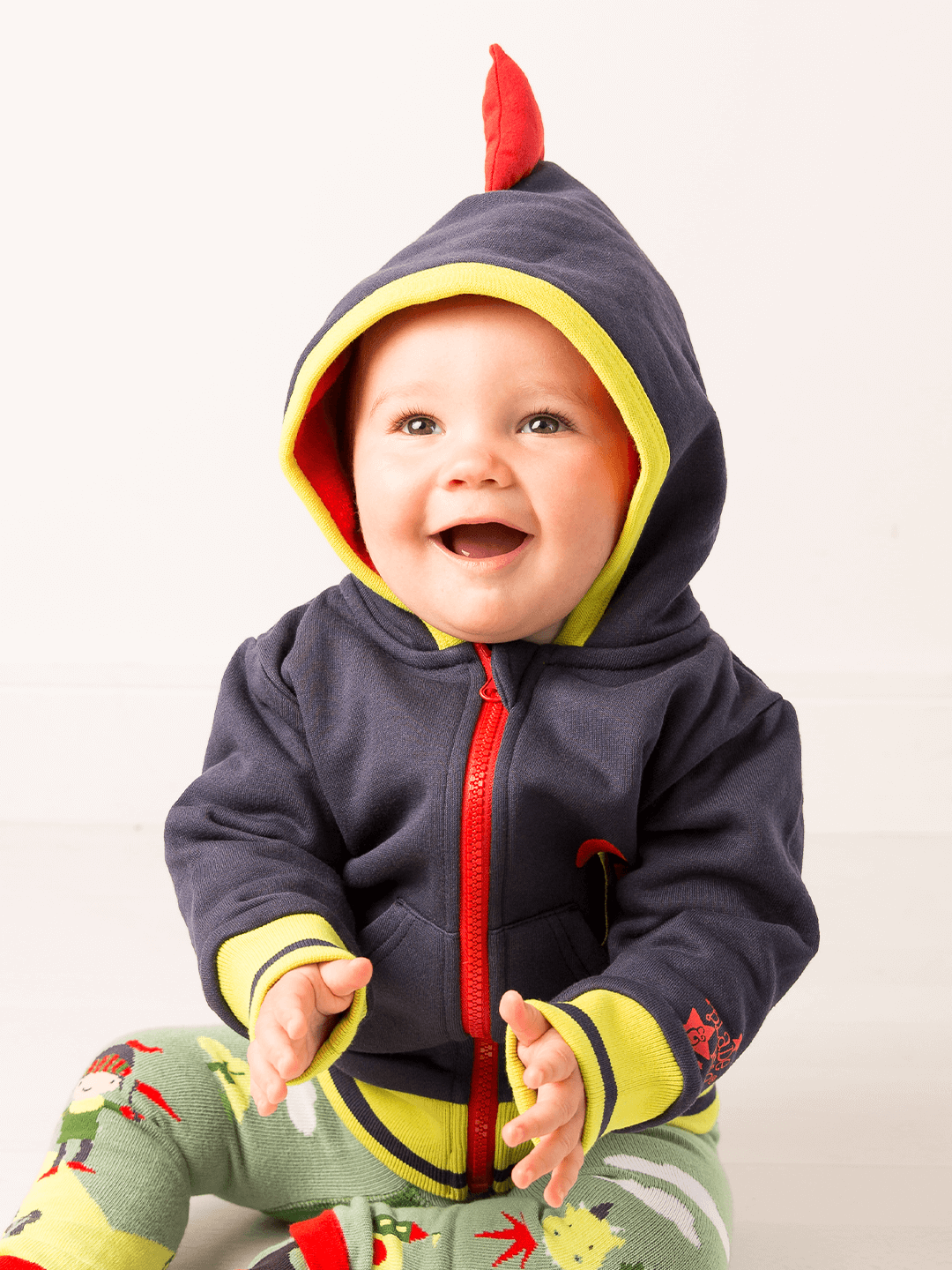Teddy the Dragon Hoodie