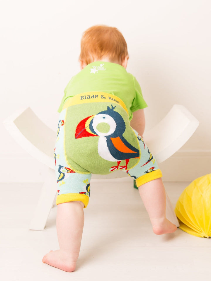 Finley the Puffin Shorts Blade & Rose UK