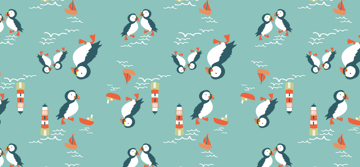 Kenzie the Puffin