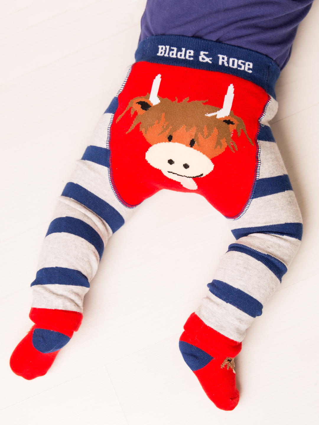 Hamish Highland Cow Gift Box Set - Blade & Rose UK