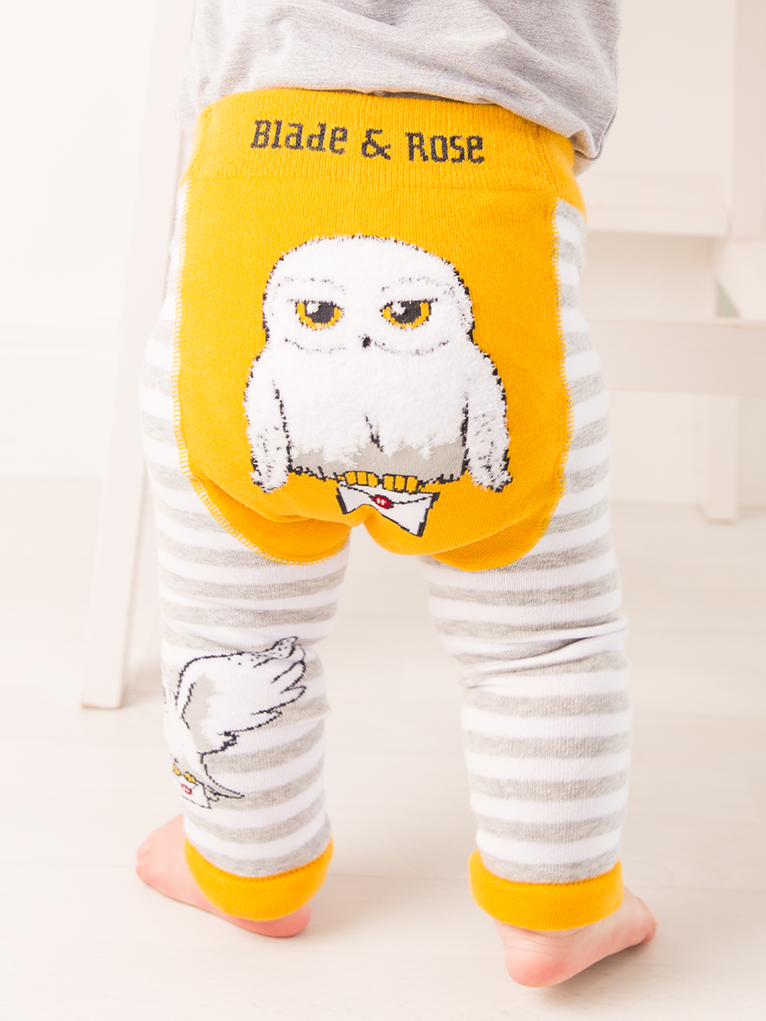Harry Potter™ Hedwig Gift Box Set