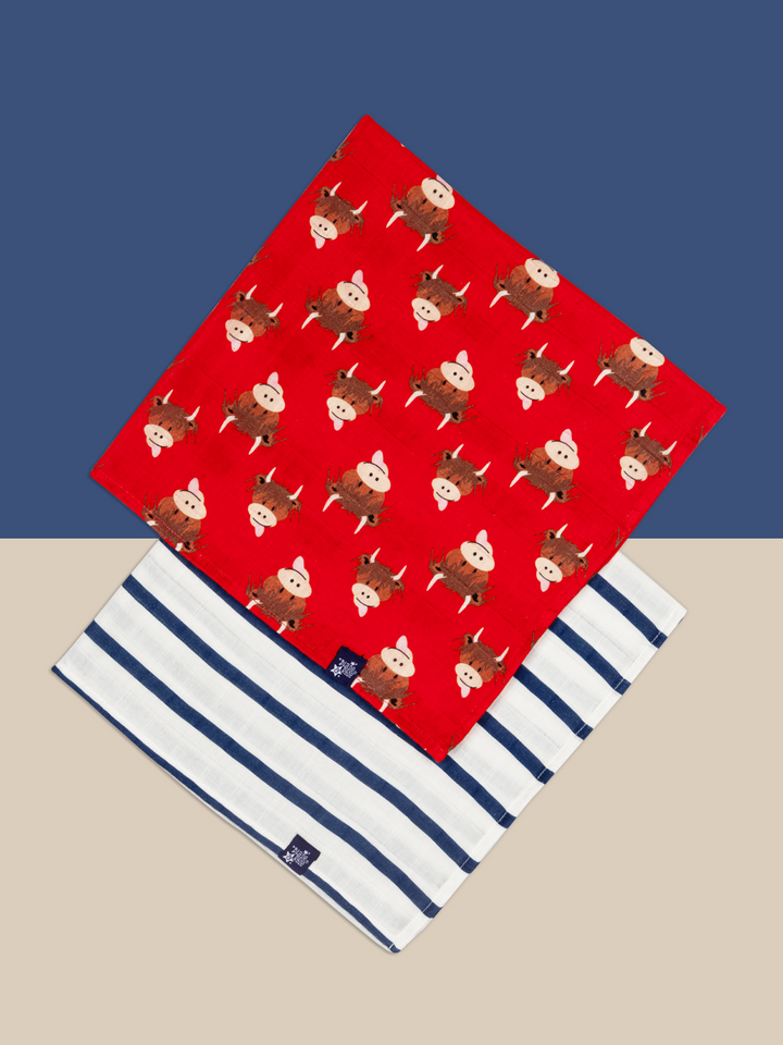 Muslin Squares (2 Pack)