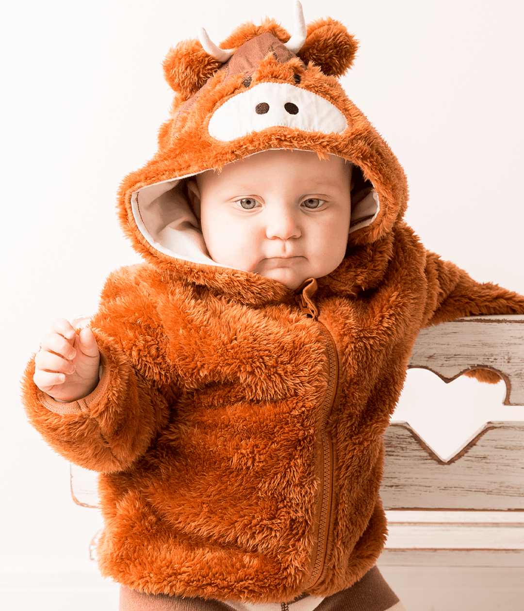 Neutral Highland Cow Hoodie