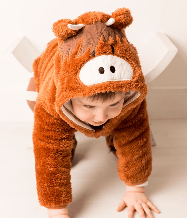 Neutral Highland Cow Hoodie