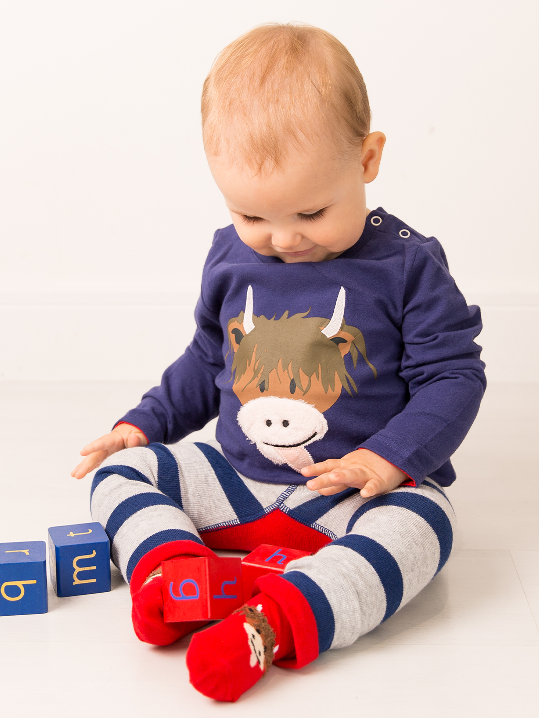 Hamish Highland Cow Gift Box Set - Blade & Rose UK