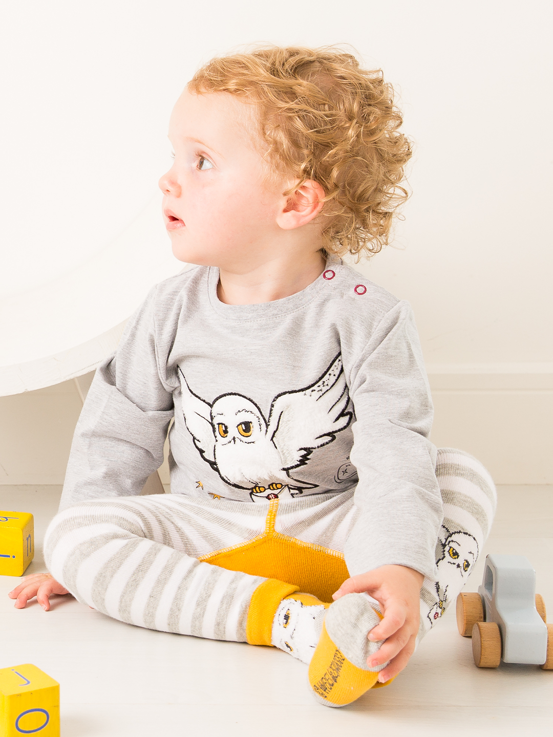 Harry Potter™ Hedwig Gift Box Set - Blade & Rose UK