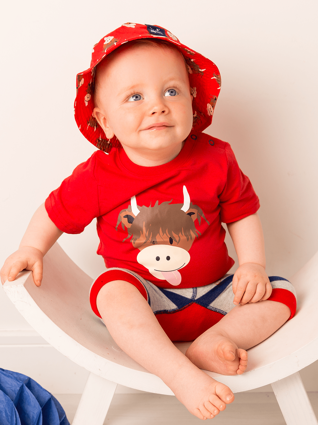 Hamish Highland Cow Tee - Blade & Rose UK