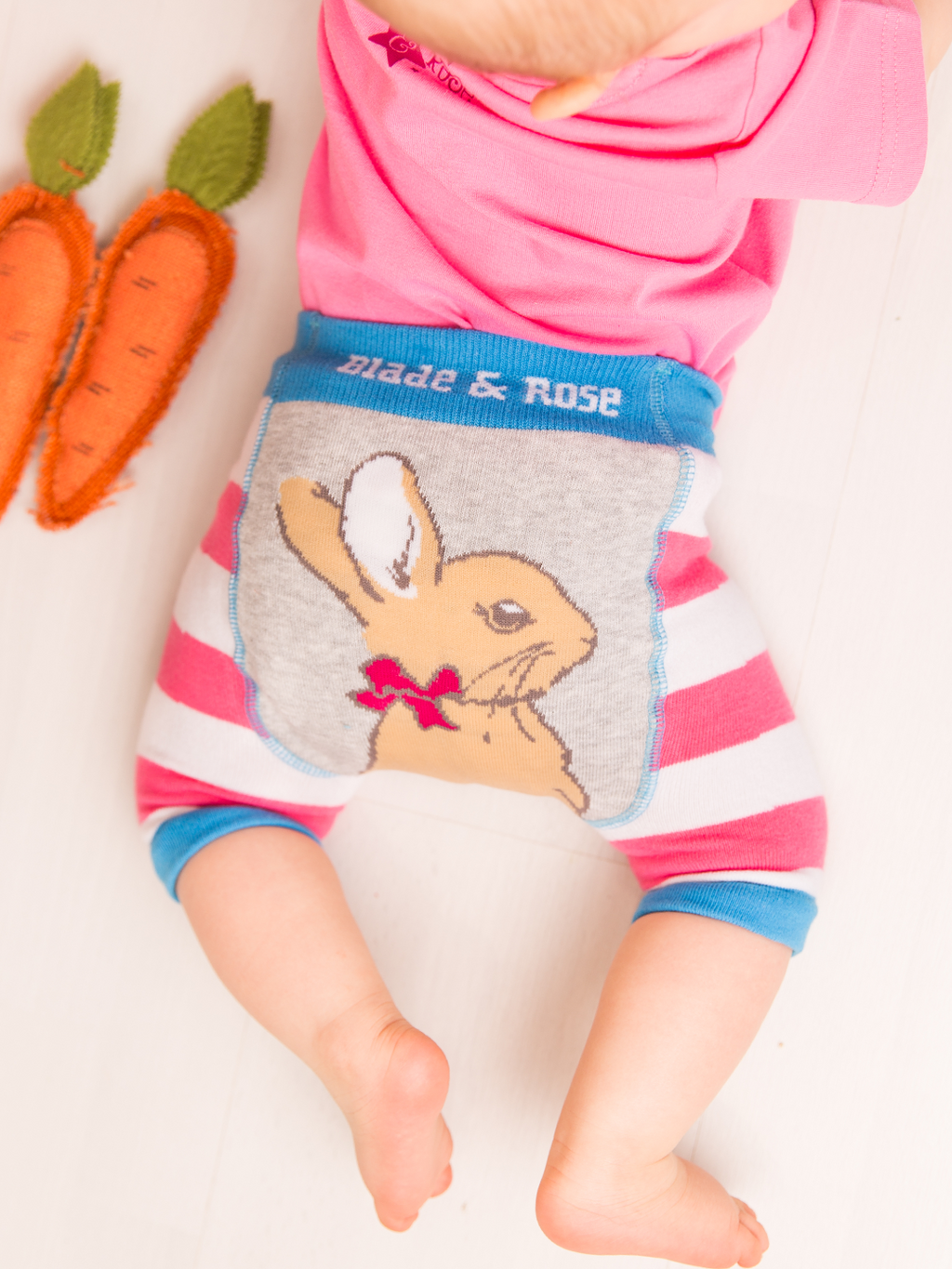 Peter Rabbit Springtime Shorts