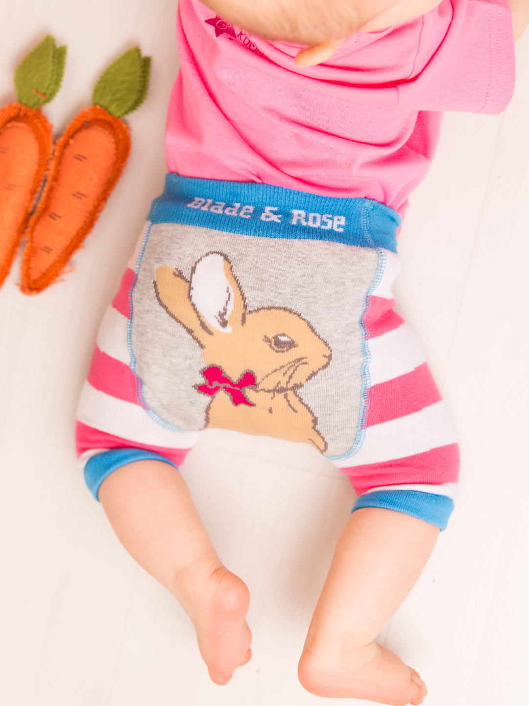 Peter Rabbit Springtime Shorts