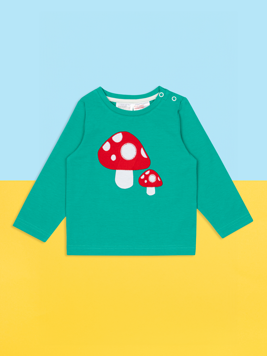 Toadstool Top