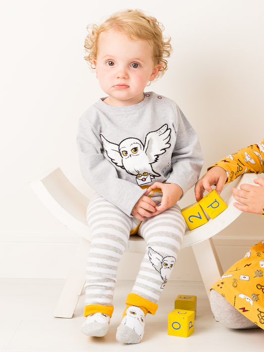 Harry Potter™ Hedwig Gift Box Set - Blade & Rose UK