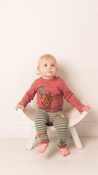 Gruffalo Out To Explore 3PC Gift Set - Fluffy Socks