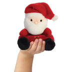 Palm Pals Santa Claus Soft Toy