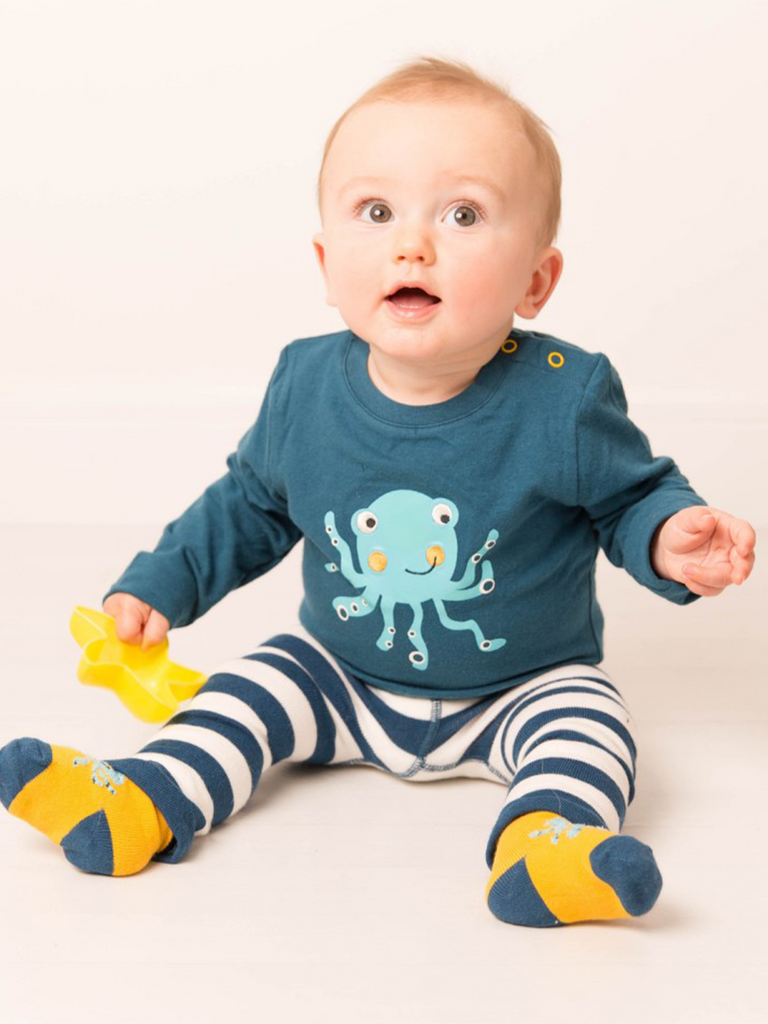 Octopus