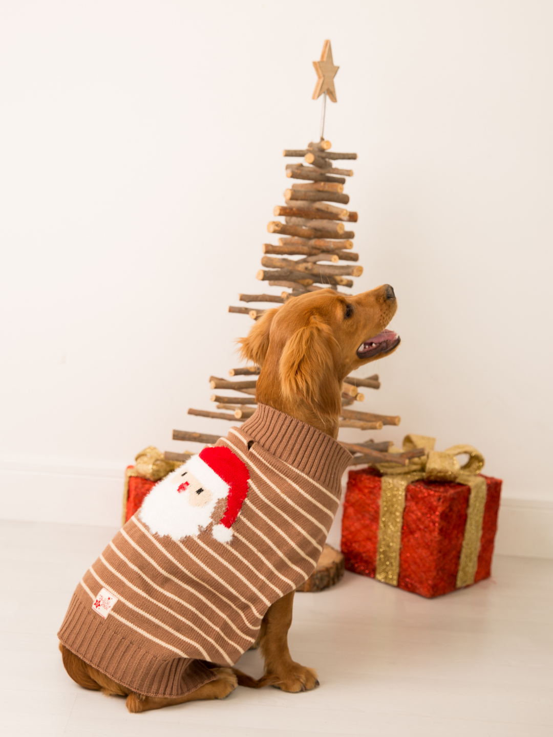 Cocker spaniel wearing the Santa Ho Ho Ho knitted dog jumper beside a Christmas tree