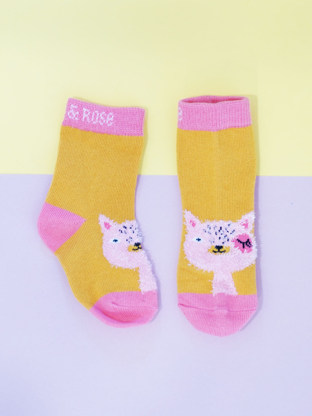 Willow the Cat Socks Blade & Rose