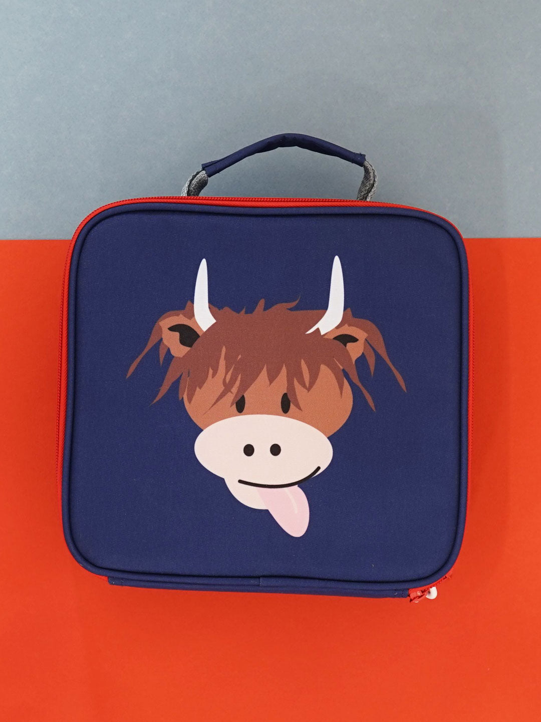 Highland Cow Lunchbox Blade & Rose